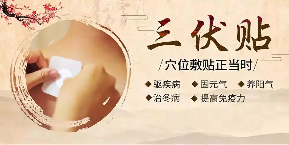 關于三伏貼，你了解多少呢？